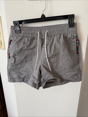 Light Gray Hiking Shorts